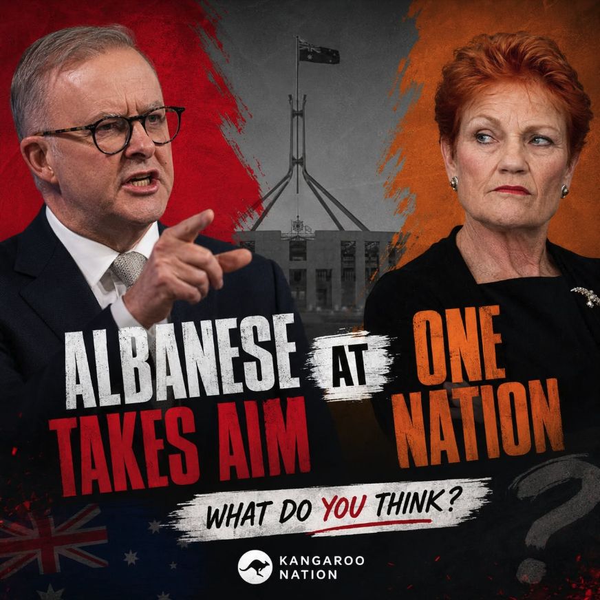Albanese takes aim at One Nation graphic